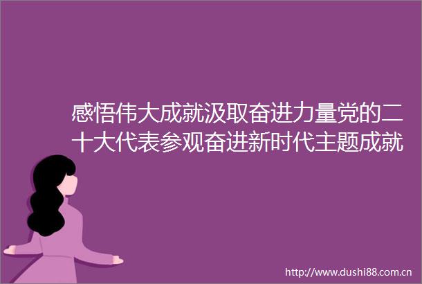 感悟伟大成就汲取奋进力量党的二十大代表参观奋进新时代主题成就展