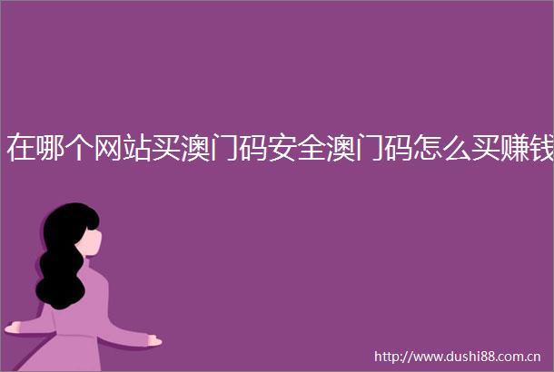 在哪个网站买澳门码安全澳门码怎么买赚钱