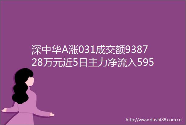 深中华A涨031成交额938728万元近5日主力净流入595602万
