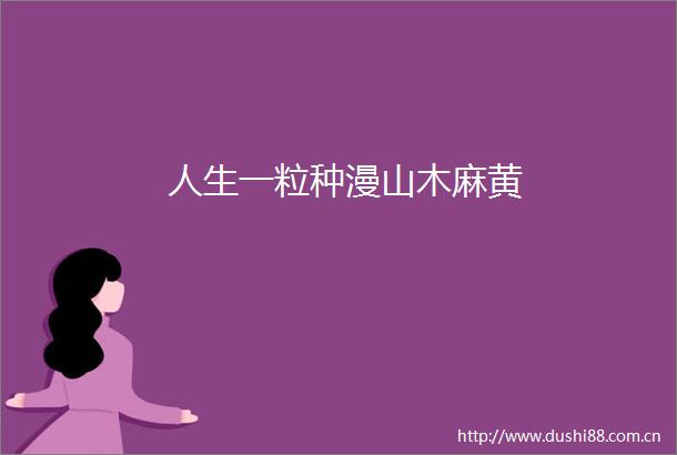 人生一粒种漫山木麻黄