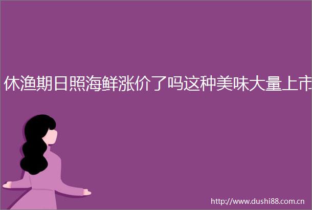 休渔期日照海鲜涨价了吗这种美味大量上市