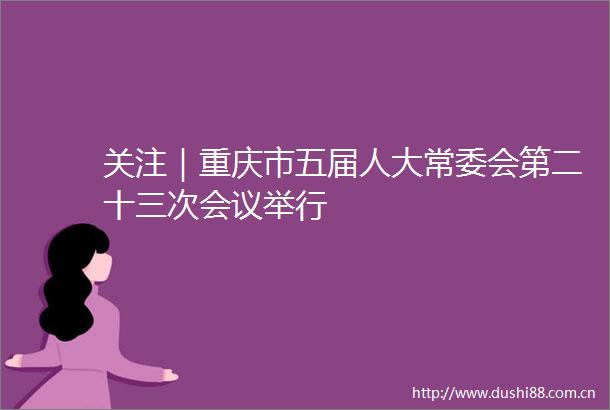 关注｜重庆市五届人大常委会第二十三次会议举行