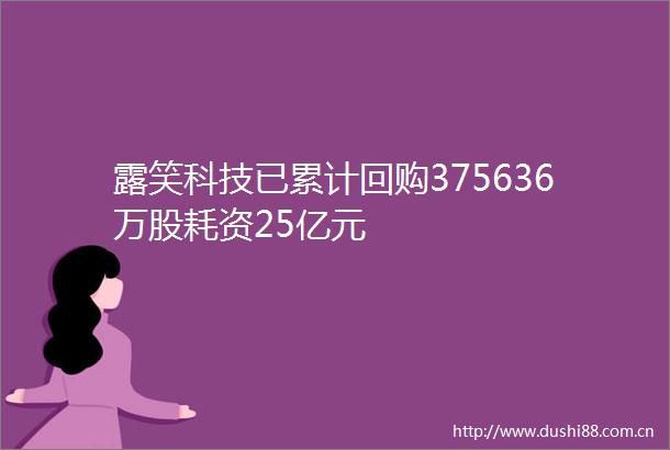 露笑科技已累计回购375636万股耗资25亿元