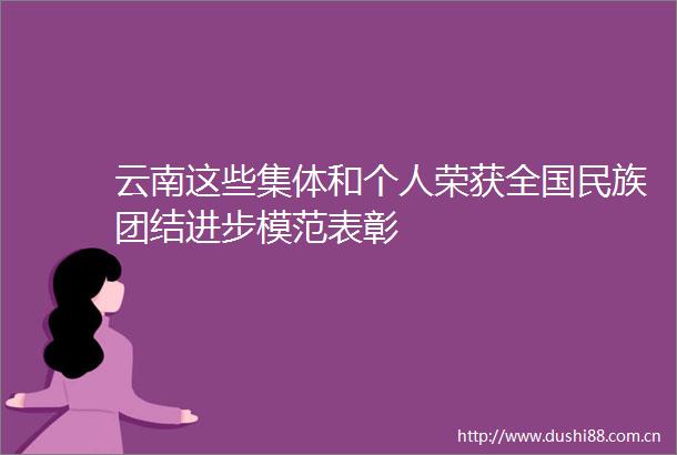 云南这些集体和个人荣获全国民族团结进步模范表彰