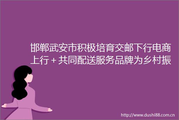 邯郸武安市积极培育交邮下行电商上行＋共同配送服务品牌为乡村振兴注入新动能
