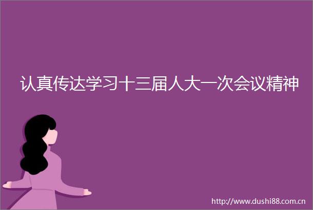 认真传达学习十三届人大一次会议精神