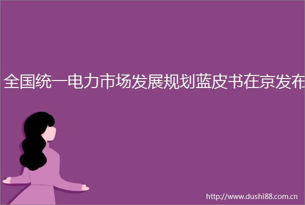 全国统一电力市场发展规划蓝皮书在京发布