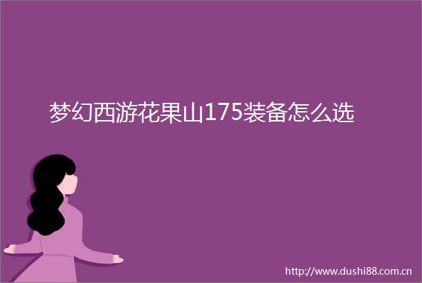 梦幻西游花果山175装备怎么选