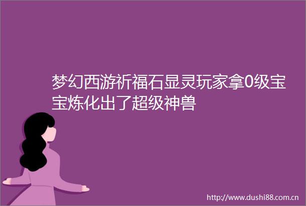 梦幻西游祈福石显灵玩家拿0级宝宝炼化出了超级神兽
