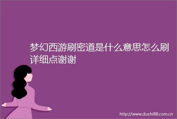 梦幻西游刷密道是什么意思怎么刷详细点谢谢