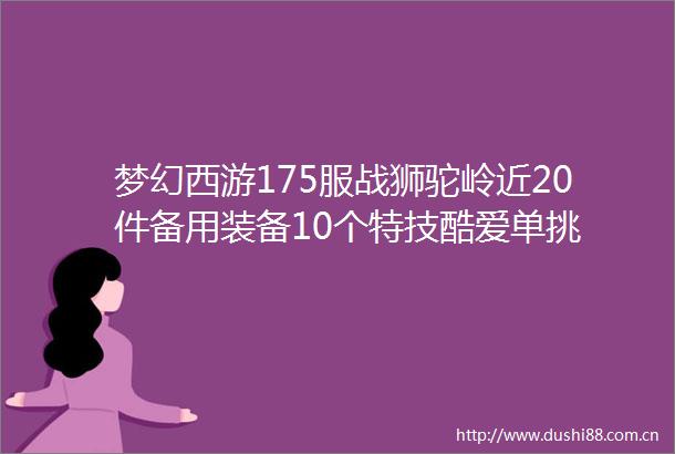 梦幻西游175服战狮驼岭近20件备用装备10个特技酷爱单挑
