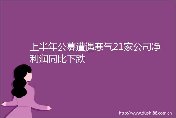 上半年公募遭遇寒气21家公司净利润同比下跌