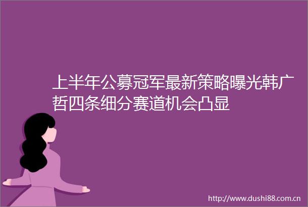 上半年公募冠军最新策略韩广哲四条细分赛道机会凸显