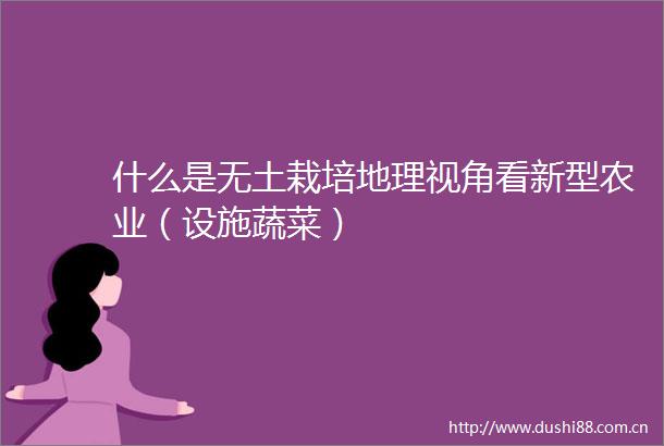 什么是无土栽培地理视角看新型农业（设施蔬菜）