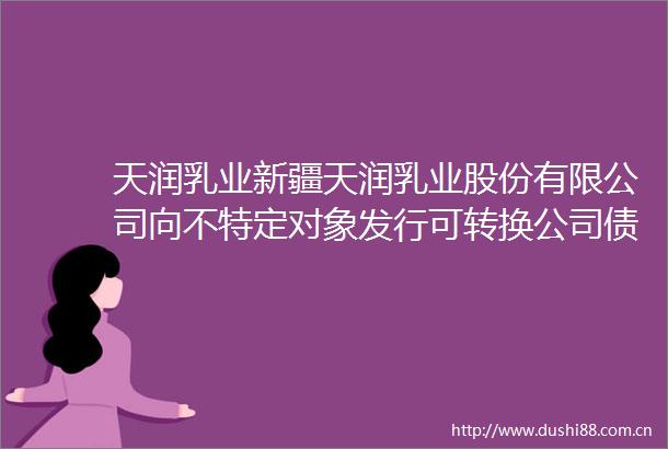 天润乳业新疆天润乳业股份有限公司向不特定对象发行可转换公司债券受托管理事务报告（2024年度）