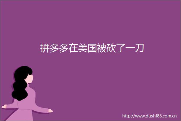 拼多多在美国被砍了一刀