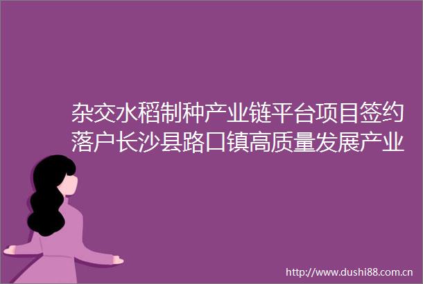 杂交水稻制种产业链平台项目签约落户长沙县路口镇高质量发展产业集群加速成势