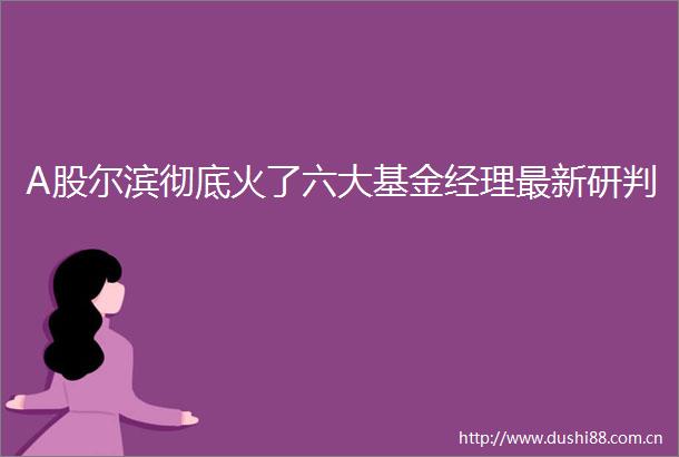 A股尔滨彻底火了六大基金经理最新研判