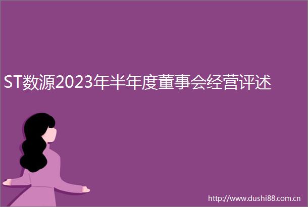 ST数源2023年半年度董事会经营评述