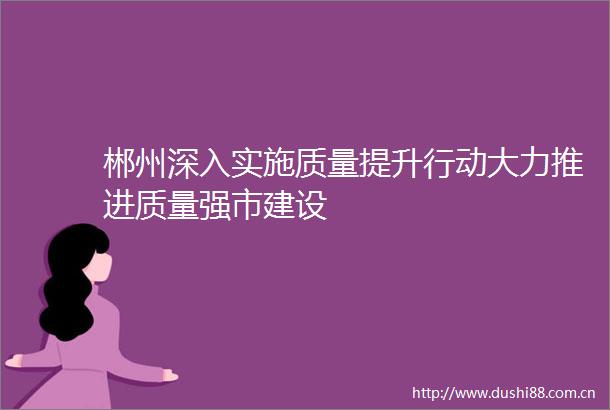 郴州深入实施质量提升行动大力推进质量强市建设
