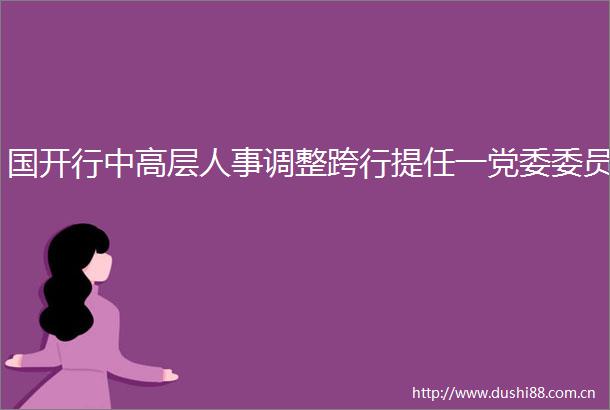 国开行中高层人事调整跨行提任一党委委员