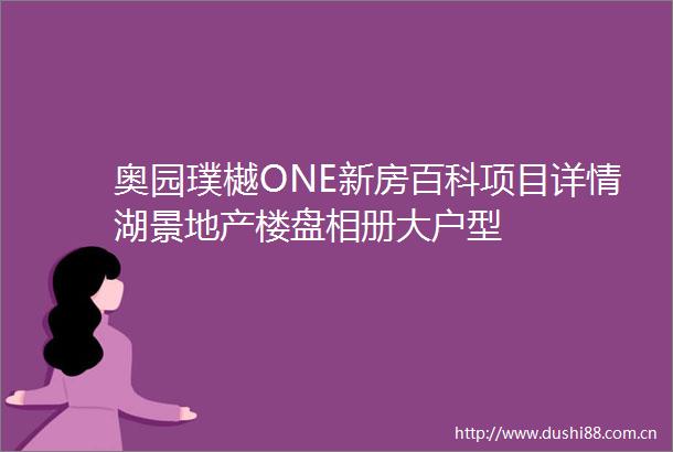 奥园璞樾ONE新房百科项目详情湖景地产楼盘相册大户型