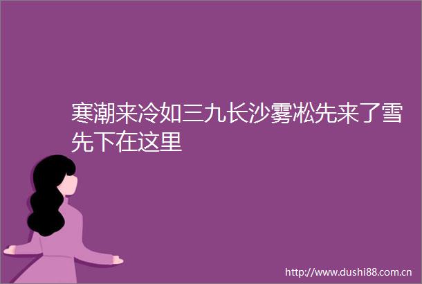 寒潮来冷如三九长沙雾凇先来了雪先下在这里