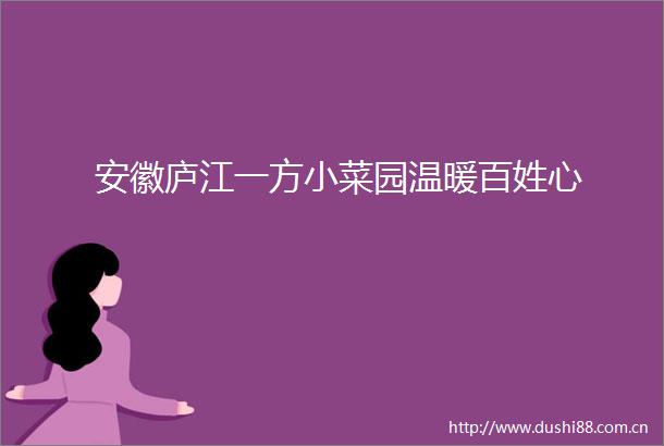 安徽庐江一方小菜园温暖百姓心