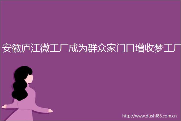 安徽庐江微工厂成为群众家门口增收梦工厂