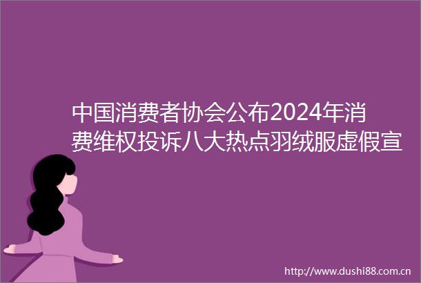 消费者协会公布2024年消费维权八大热点羽绒服宣传车辆统筹险等被点名