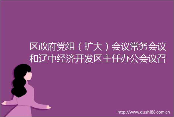 区党组（扩大）会议常务会议和辽中经济开发区主任办公会议召开
