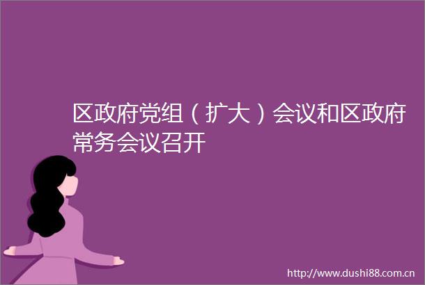 区党组（扩大）会议和区常务会议召开