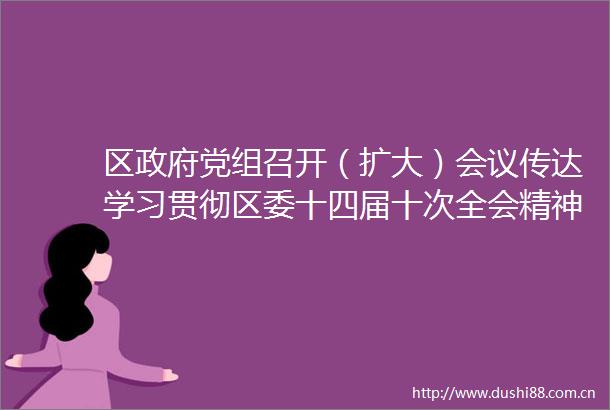 区党组召开（扩大）会议传达学习贯彻区委十四届十次全会精神