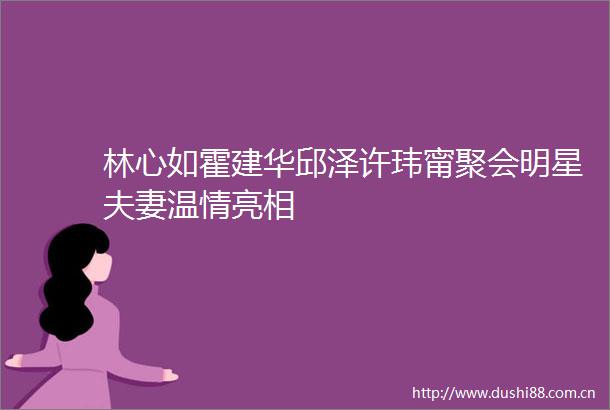 林心如霍建华邱泽许玮甯聚会明星夫妻温情亮相
