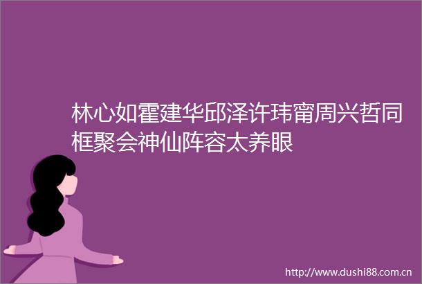 林心如霍建华邱泽许玮甯周兴哲同框聚会神仙阵容太养眼