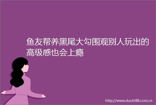 鱼友帮养黑尾大勾围观别人玩出的高级感也会上瘾