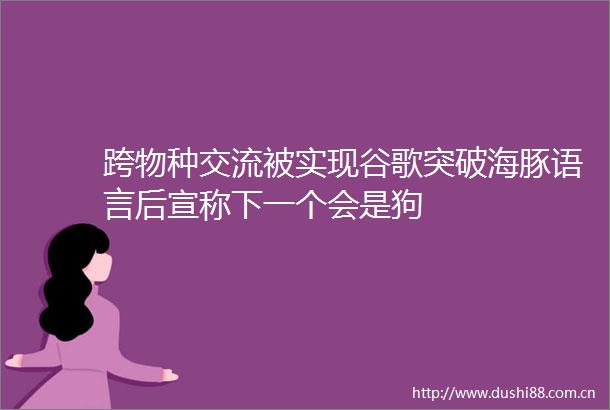 跨物种交流被实现谷歌突破海豚语言后宣称下一个会是狗