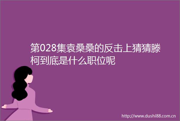 第028集袁桑桑的反击上猜猜滕柯到底是什么职位呢