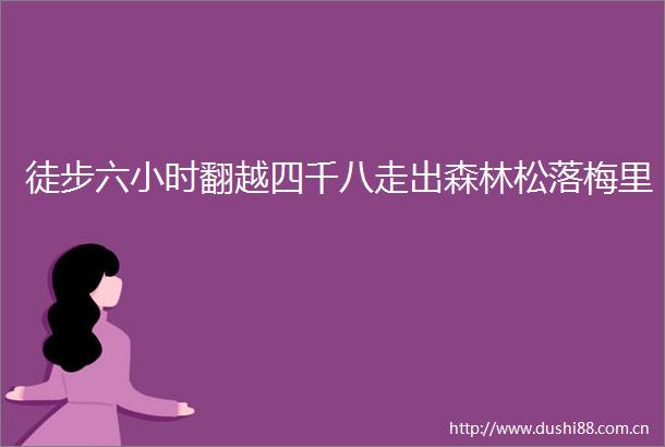 徒步六小时翻越四千八走出森林松落梅里