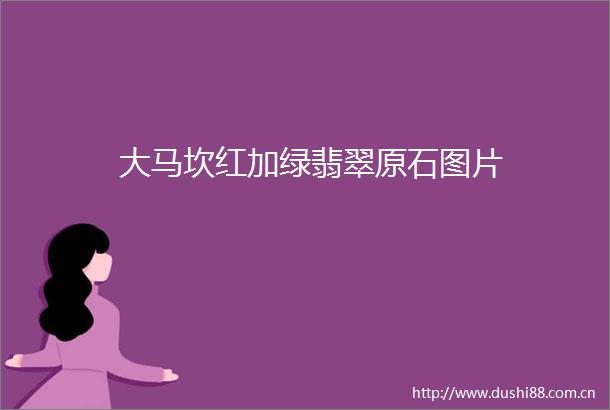 大马坎红加绿翡翠原石图片