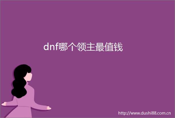 dnf哪个领主最值钱