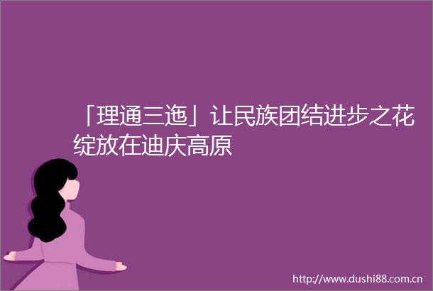 「理通三迤」让民族团结进步之花绽放在迪庆高原