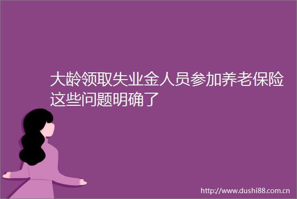 大龄领取失业金人员参加养老保险这些问题明确了