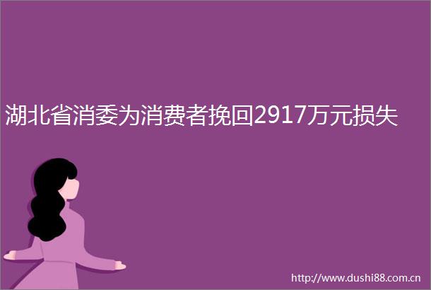 湖北省消委为消费者挽回2917万元损失
