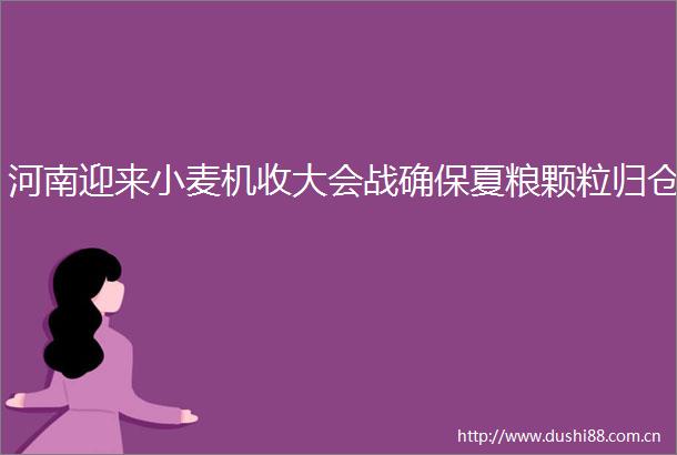 河南迎来小麦机收大会战确保夏粮颗粒归仓