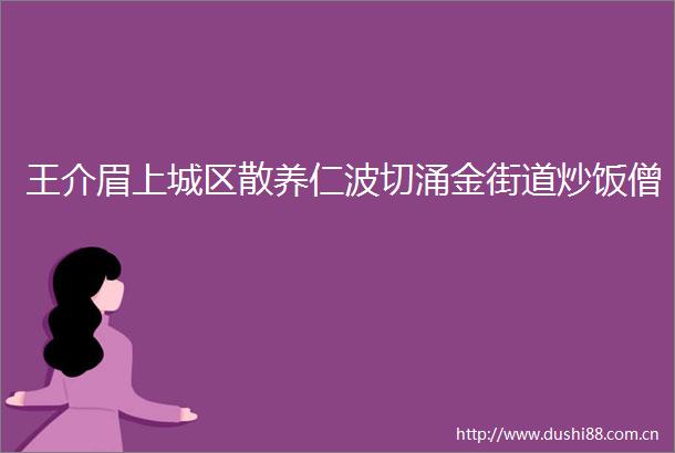 王介眉上城区散养仁波切涌金街道炒饭僧