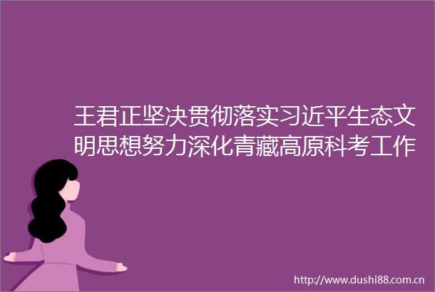 王君正坚决贯彻落实生态文明思想努力深化青藏高原科考工作加快成果转化应用为社会主义现代化新西藏建设多作贡献