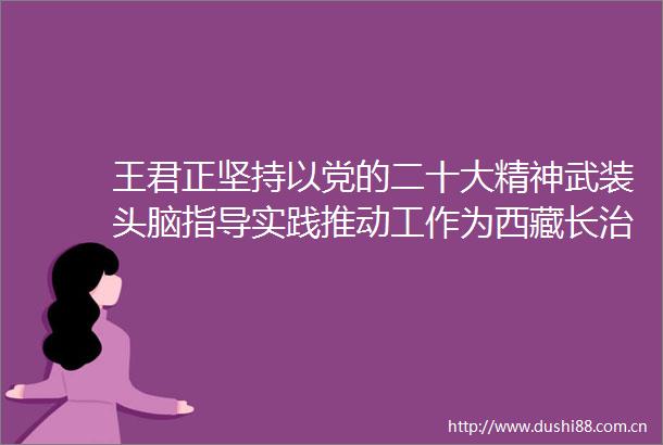 王君正坚持以党的二十大精神武装头脑指导实践推动工作为西藏长治久安和高质量发展作出新贡献