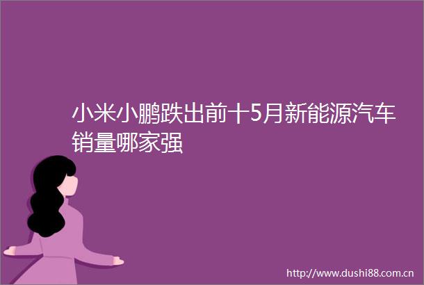 小米小鹏跌出前十5月新能源汽车销量哪家强