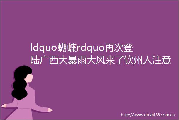 ldquo蝴蝶rdquo再次登陆广西大暴雨大风来了钦州人注意做好防范